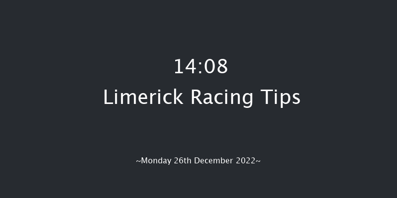 Limerick 14:08 Handicap Hurdle 20f Tue 22nd Nov 2022