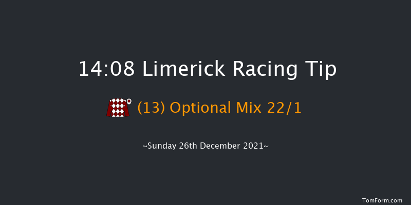 Limerick 14:08 Handicap Hurdle 20f Tue 16th Nov 2021