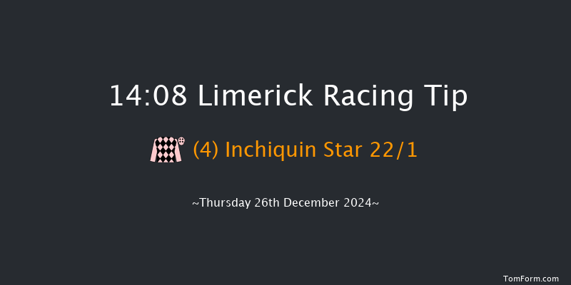Limerick  14:08 Handicap Hurdle 20f Tue 19th Nov 2024