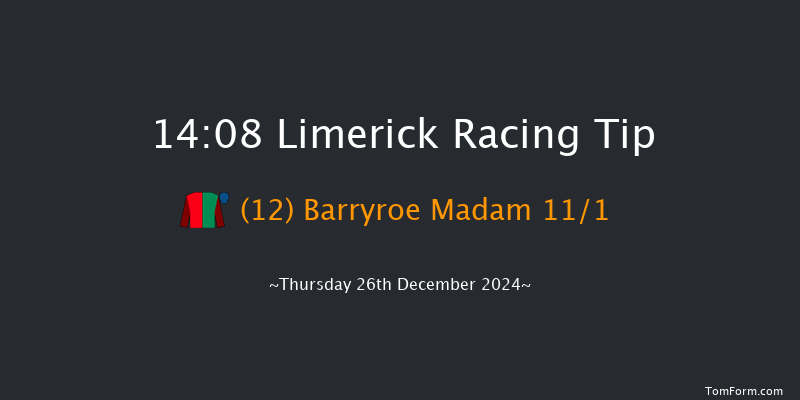 Limerick  14:08 Handicap Hurdle 20f Tue 19th Nov 2024