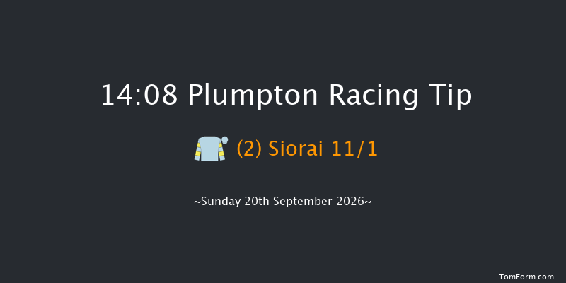 Plumpton 14-08 (Class 5) 15f Tue 26th May 2026