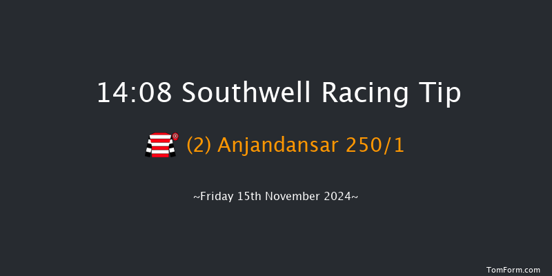 Southwell  14:08 NH Flat Race (Class 5) 16f Wed 13th Nov 2024