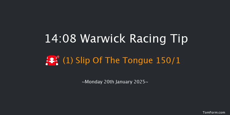 Warwick  14:08 Handicap Hurdle (Class 4) 25f Tue 31st Dec 2024