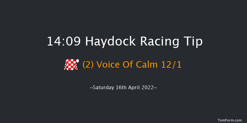 Haydock 14:09 Handicap Hurdle (Class 2) 19f Wed 23rd Mar 2022