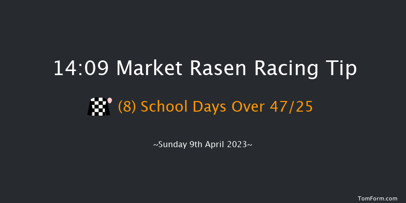 Market Rasen 14:09 Maiden Hurdle (Class 4) 21f Wed 29th Mar 2023