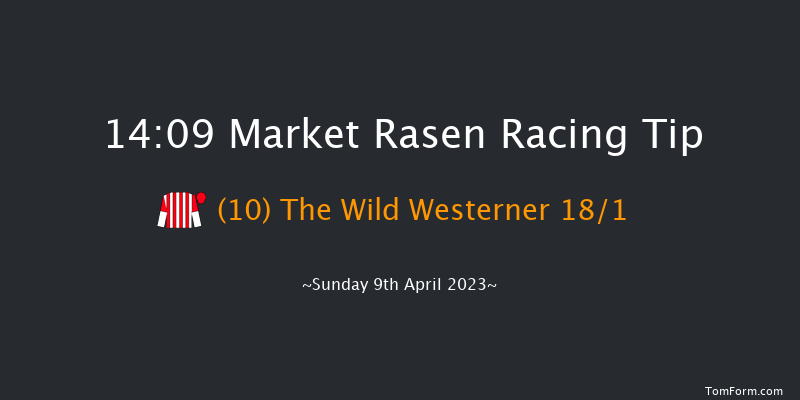 Market Rasen 14:09 Maiden Hurdle (Class 4) 21f Wed 29th Mar 2023