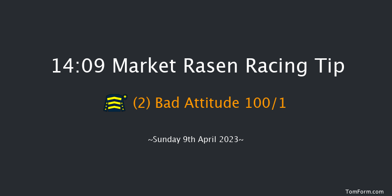 Market Rasen 14:09 Maiden Hurdle (Class 4) 21f Wed 29th Mar 2023