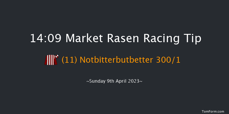 Market Rasen 14:09 Maiden Hurdle (Class 4) 21f Wed 29th Mar 2023