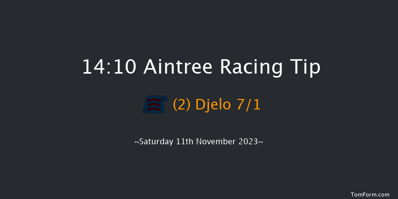 Aintree 14:10 Handicap Chase (Class 3) 16f Sun 29th Oct 2023