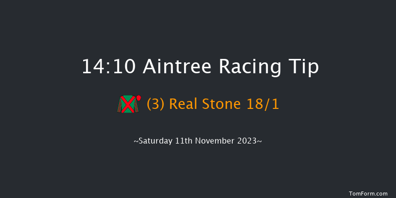 Aintree 14:10 Handicap Chase (Class 3) 16f Sun 29th Oct 2023