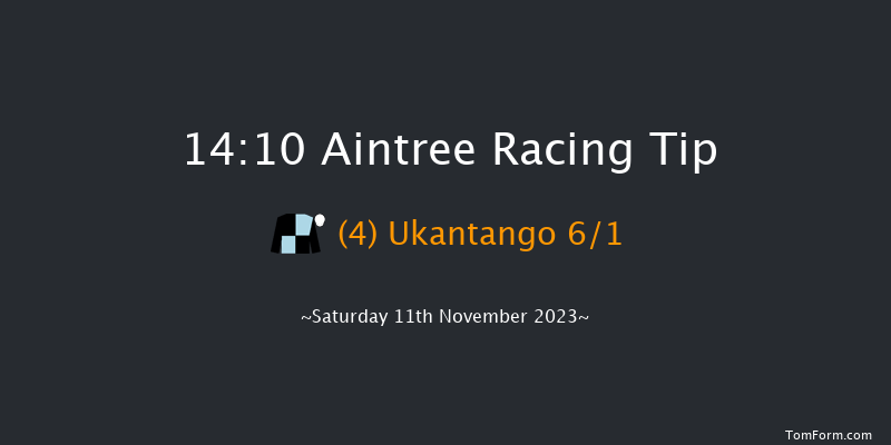 Aintree 14:10 Handicap Chase (Class 3) 16f Sun 29th Oct 2023