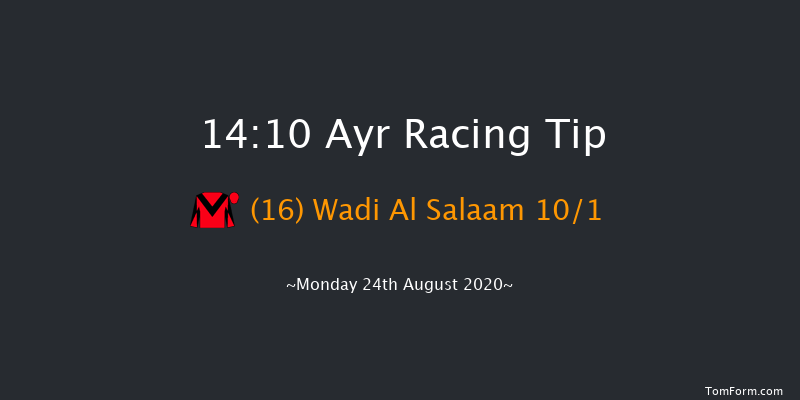 Microtech Odds On For IT Support Handicap Ayr 14:10 Handicap (Class 5) 6f Wed 5th Aug 2020
