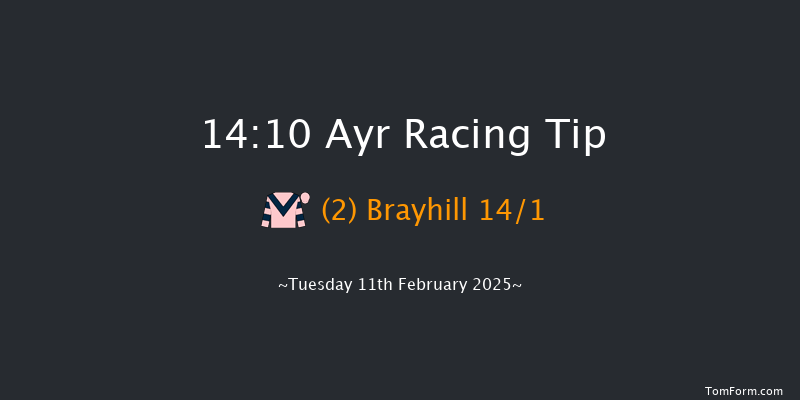 Ayr  14:10 Handicap Chase (Class 4) 20f Tue 21st Jan 2025