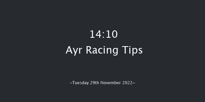 Ayr 14:10 NH Flat Race (Class 5) 16f Wed 9th Nov 2022