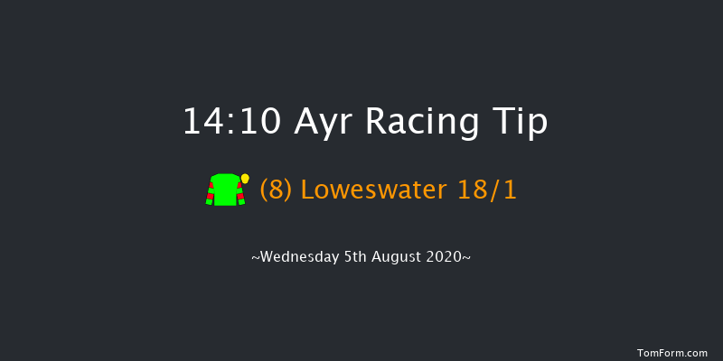 British Stallion Studs EBF Novice Auction Stakes (Plus 10) Ayr 14:10 Stakes (Class 5) 6f Tue 28th Jul 2020
