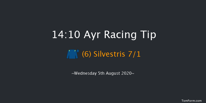 British Stallion Studs EBF Novice Auction Stakes (Plus 10) Ayr 14:10 Stakes (Class 5) 6f Tue 28th Jul 2020
