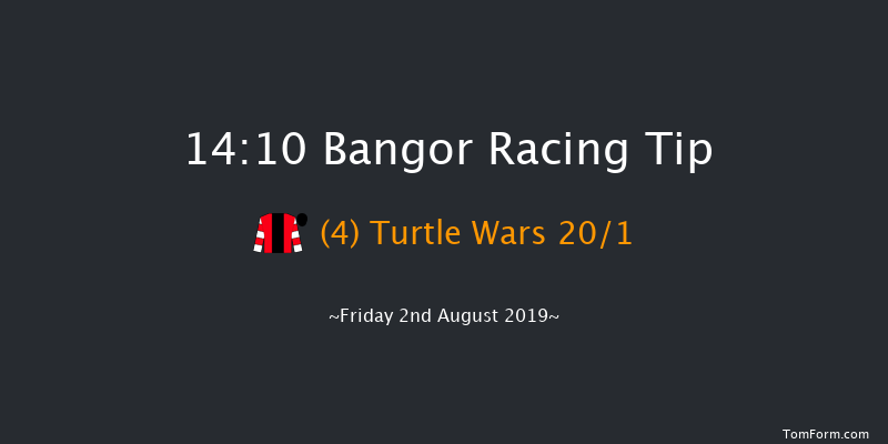 Bangor 14:10 Handicap Hurdle (Class 4) 20f Thu 1st Jan 1970