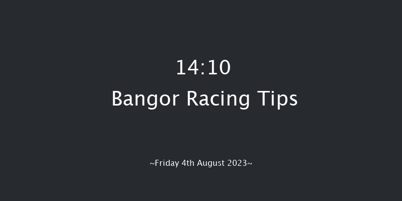 Bangor 14:10 Handicap Hurdle (Class 5) 23f Sat 10th Jun 2023