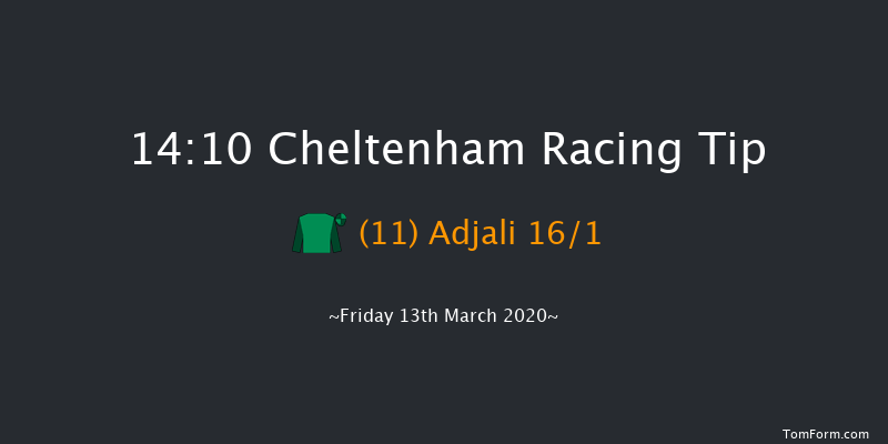 Randox Health County Handicap Hurdle (Grade 3) Cheltenham 14:10 Handicap Hurdle (Class 1) 17f Thu 12th Mar 2020