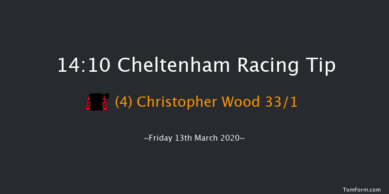 Randox Health County Handicap Hurdle (Grade 3) Cheltenham 14:10 Handicap Hurdle (Class 1) 17f Thu 12th Mar 2020