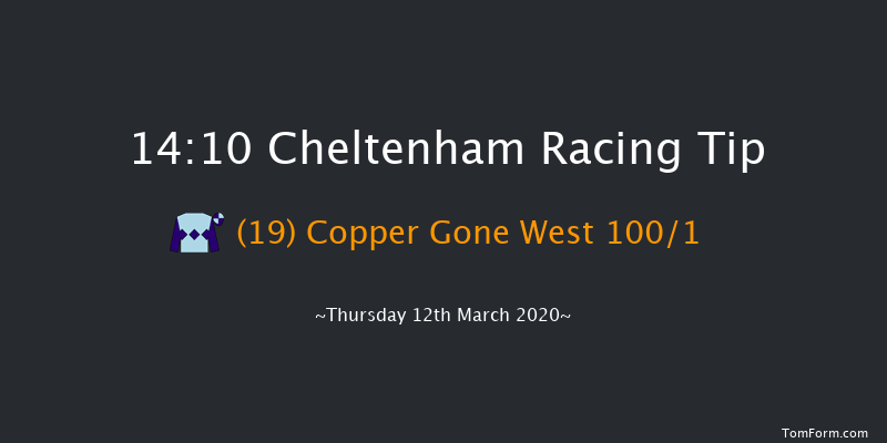 Pertemps Network Final Handicap Hurdle (Grade 3) Cheltenham 14:10 Handicap Hurdle (Class 1) 24f Wed 11th Mar 2020