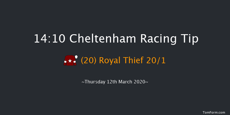 Pertemps Network Final Handicap Hurdle (Grade 3) Cheltenham 14:10 Handicap Hurdle (Class 1) 24f Wed 11th Mar 2020