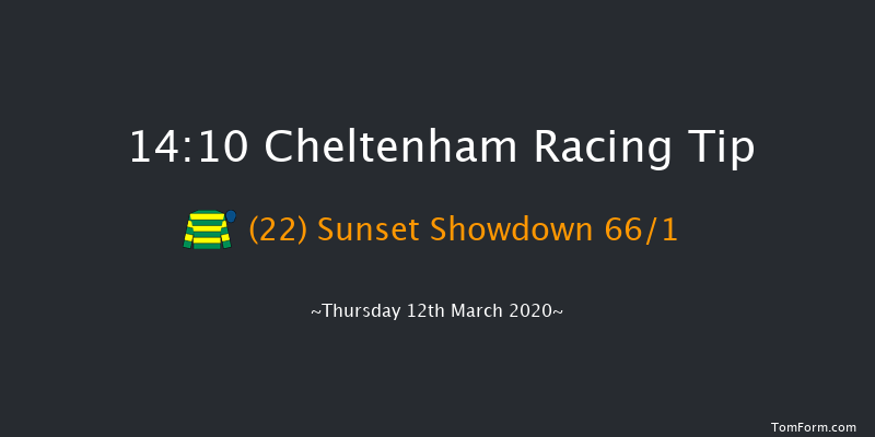 Pertemps Network Final Handicap Hurdle (Grade 3) Cheltenham 14:10 Handicap Hurdle (Class 1) 24f Wed 11th Mar 2020
