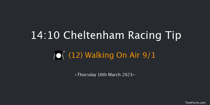 Cheltenham 14:10 Handicap Hurdle (Class 1) 24f Wed 15th Mar 2023