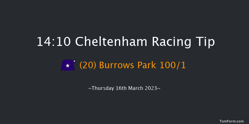 Cheltenham 14:10 Handicap Hurdle (Class 1) 24f Wed 15th Mar 2023