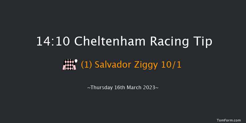 Cheltenham 14:10 Handicap Hurdle (Class 1) 24f Wed 15th Mar 2023