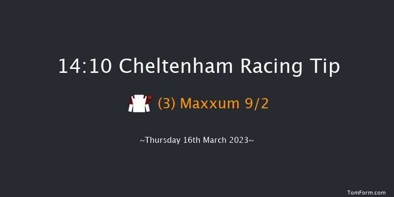 Cheltenham 14:10 Handicap Hurdle (Class 1) 24f Wed 15th Mar 2023