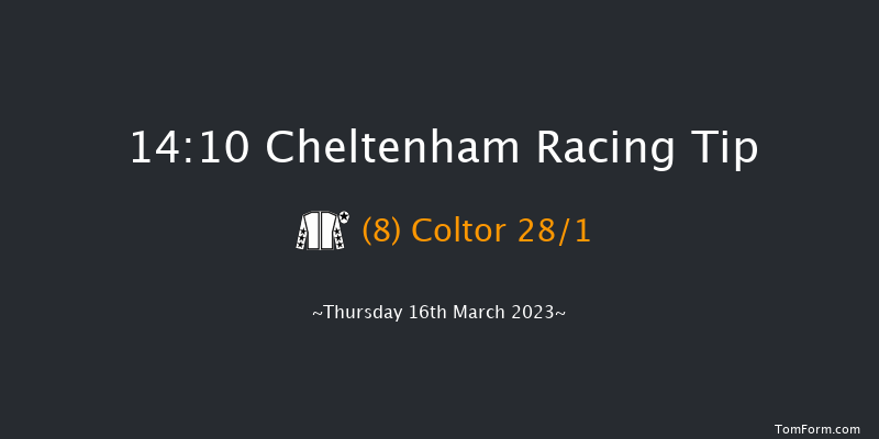 Cheltenham 14:10 Handicap Hurdle (Class 1) 24f Wed 15th Mar 2023