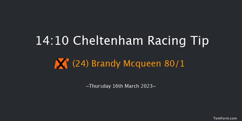 Cheltenham 14:10 Handicap Hurdle (Class 1) 24f Wed 15th Mar 2023