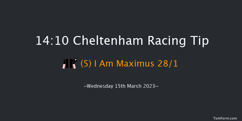 Cheltenham 14:10 Novices Chase (Class 1) 24f Tue 14th Mar 2023