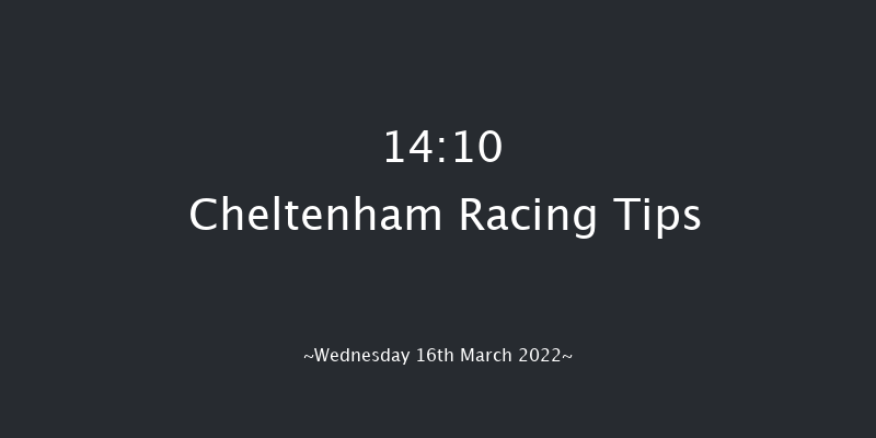 Cheltenham 14:10 Novices Chase (Class 1) 24f Tue 15th Mar 2022