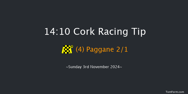 Cork  14:10 Maiden Hurdle 24f Sun 13th Oct 2024