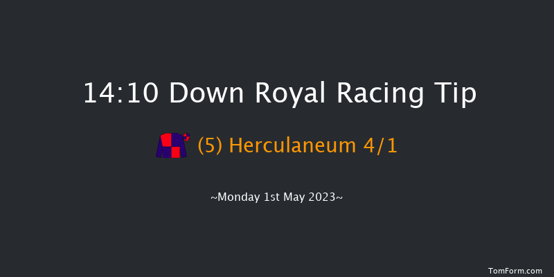 Down Royal 14:10 Handicap Hurdle 17f Fri 17th Mar 2023