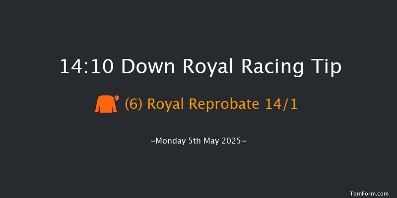 Down Royal 14-10 17f Sun 13th Apr 2025