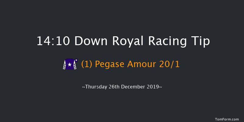 Down Royal 14:10 Handicap Chase 20f Sat 2nd Nov 2019