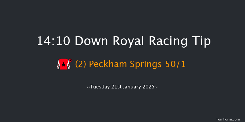Down Royal  14:10 Handicap Hurdle 17f Thu 26th Dec 2024
