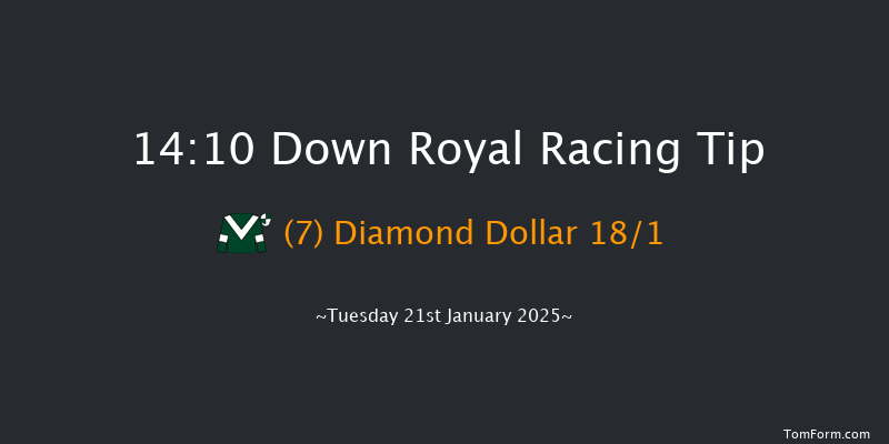 Down Royal  14:10 Handicap Hurdle 17f Thu 26th Dec 2024