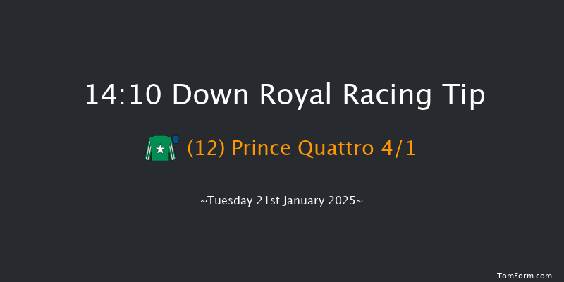 Down Royal  14:10 Handicap Hurdle 17f Thu 26th Dec 2024