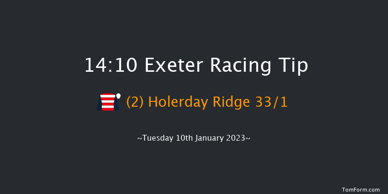 Exeter 14:10 Handicap Hurdle (Class 5) 22f Sun 1st Jan 2023