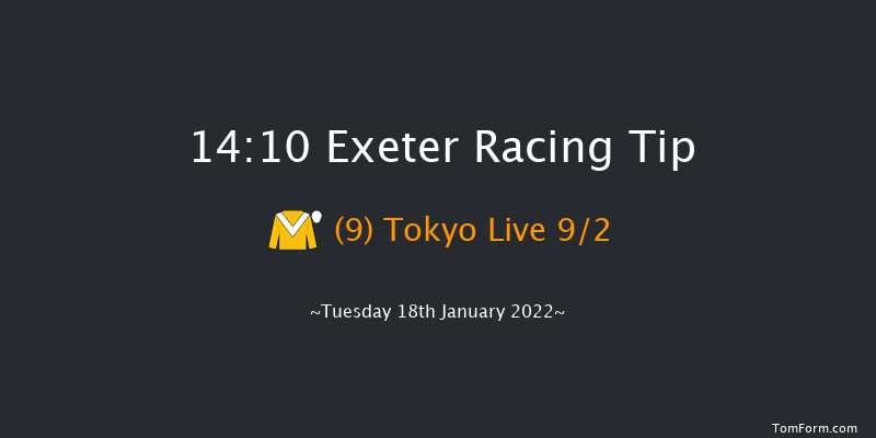 Exeter 14:10 Maiden Hurdle (Class 4) 17f Tue 11th Jan 2022