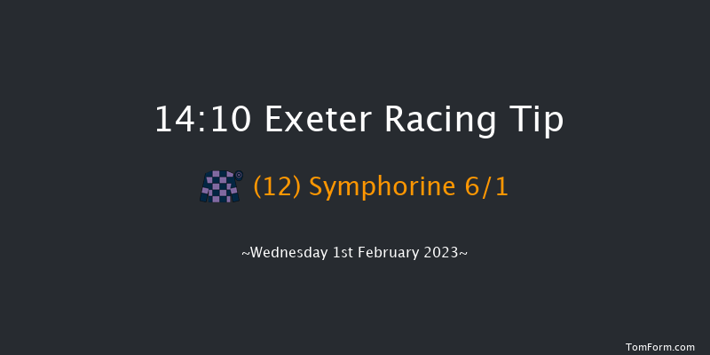 Exeter 14:10 Maiden Hurdle (Class 4) 17f Tue 10th Jan 2023