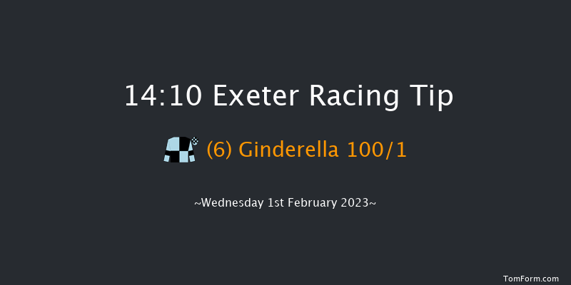 Exeter 14:10 Maiden Hurdle (Class 4) 17f Tue 10th Jan 2023