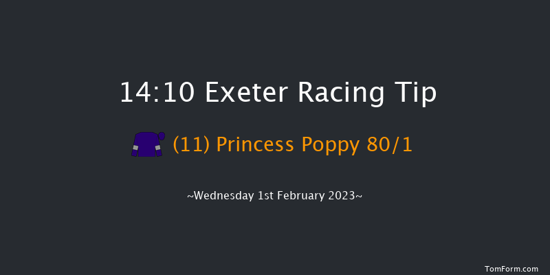 Exeter 14:10 Maiden Hurdle (Class 4) 17f Tue 10th Jan 2023