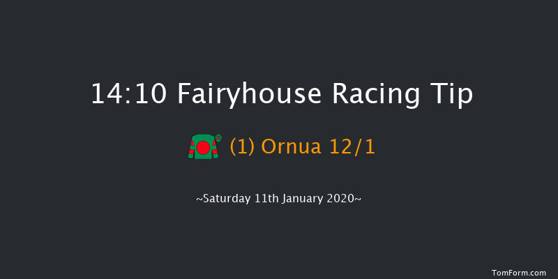 Fairyhouse 14:10 Handicap Chase 17f Wed 1st Jan 2020