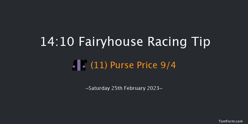 Fairyhouse 14:10 Maiden Hurdle 16f Wed 8th Feb 2023