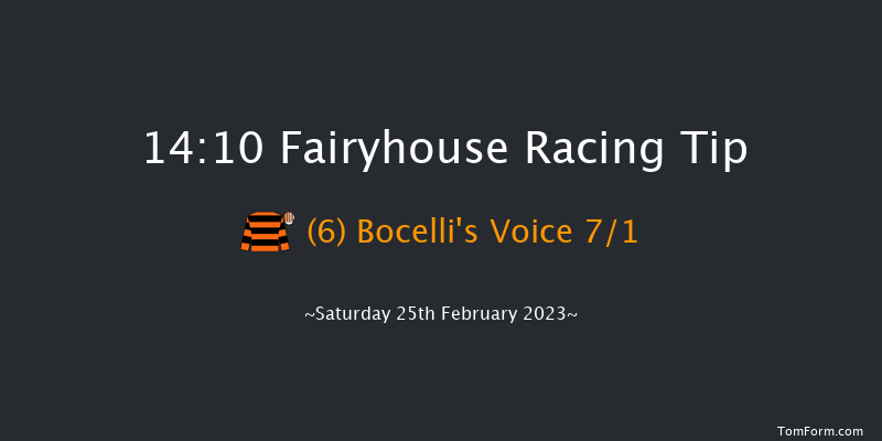 Fairyhouse 14:10 Maiden Hurdle 16f Wed 8th Feb 2023